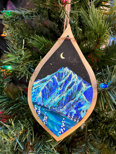 Fancy Ornament 20