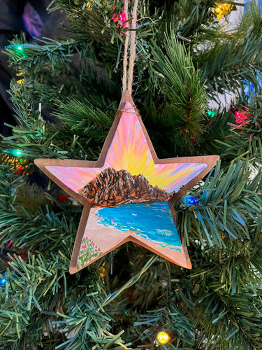 Fancy Ornament 9