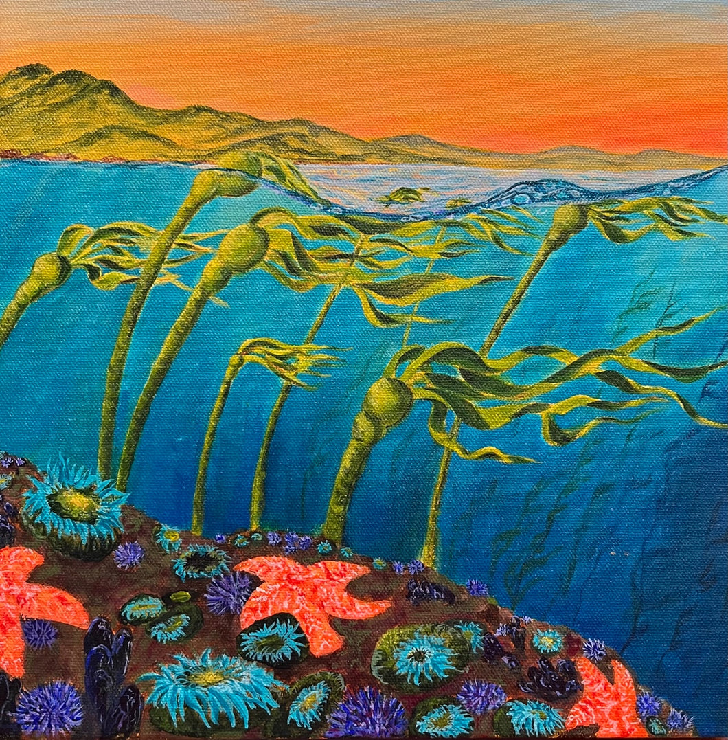 The Land Down Under